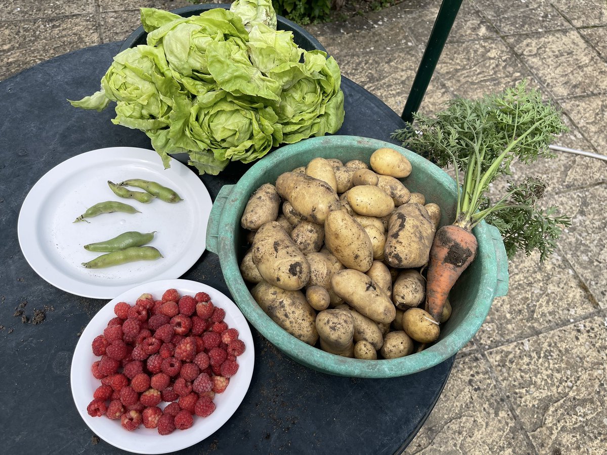 wmcoxleas's tweet photo. Our gardening group (and us) were absolutely chuffed with today’s harvest! 🥔🥕🥬 #nhs #gardening #socialinclusion @OxleasFrnsicPT https://t.co/eB1UEucNsR