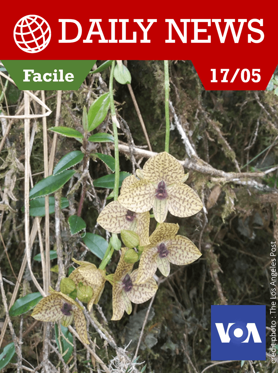 « Seconde - Axe 3 : Le village, le quartier, la ville » 🏙

Proposez à vos élèves des courtes vidéos authentiques d’actualité en lien avec les programmes de l’Education nationale.

#education #classeinversée #continuitépédagogique #langues #anglais 🇬🇧