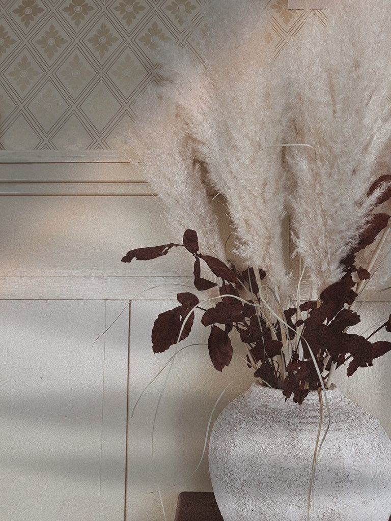 The Bonnie Beastie comes alive… Saturday 12 noon

opentable.co.uk/r/the-bonnie-b…