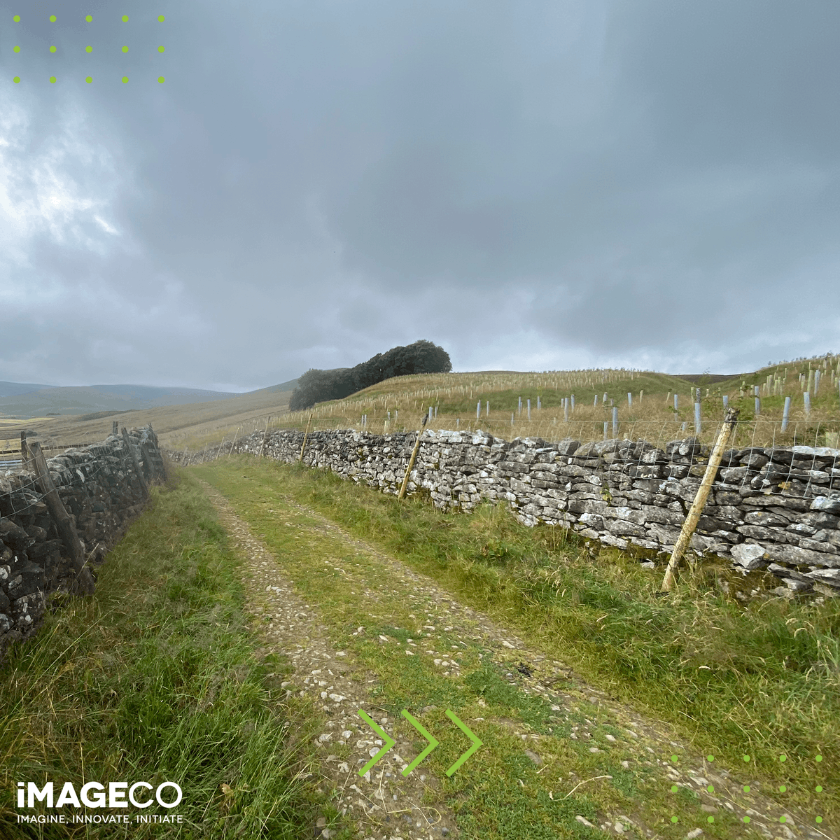ImagecoPrint's tweet image. It’s not quite the summer heatwave we had earlier in the week, but Nathan had a great day doing some #woodland maintenance with @ydmt!🌳
 
A wholesome end to the week. Happy Friday!
 
#WideFormatPrint #LeedsPrinter #Printer #Sustainable #Tree #Environment #Planet