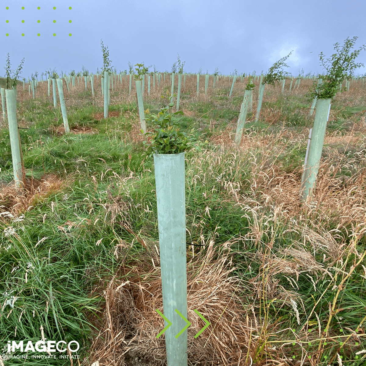 ImagecoPrint's tweet image. It’s not quite the summer heatwave we had earlier in the week, but Nathan had a great day doing some #woodland maintenance with @ydmt!🌳
 
A wholesome end to the week. Happy Friday!
 
#WideFormatPrint #LeedsPrinter #Printer #Sustainable #Tree #Environment #Planet