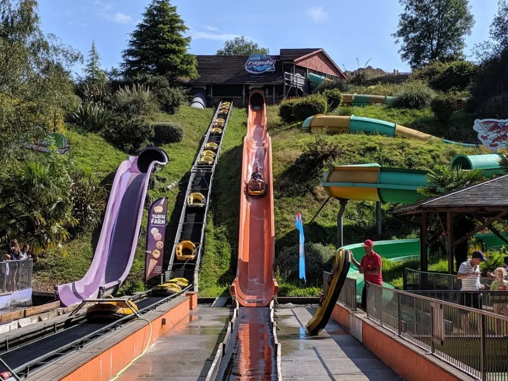 Miss Ambrose tweet media