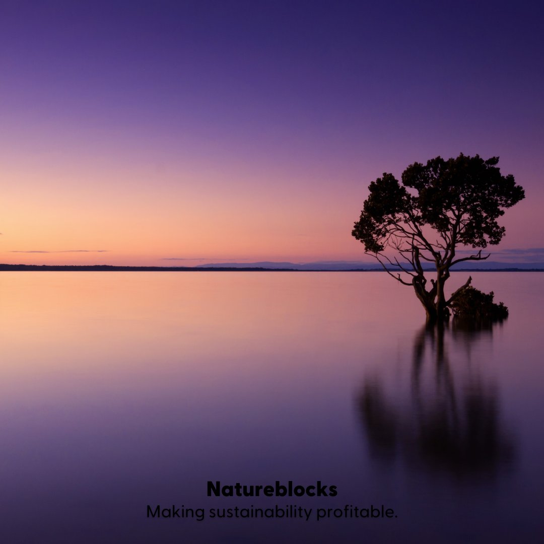natureblocks's tweet photo. #Natureblocks are more than just carbon credits, they're stories of environmental resilience. Each #Natureblock represents one metric ton of #CO² removed or prevented from entering the #environment.

Buy, sell, trade, and create Natureblocks on the worlds first #carbon #exchange. https://t.co/5jHGkjdaXZ