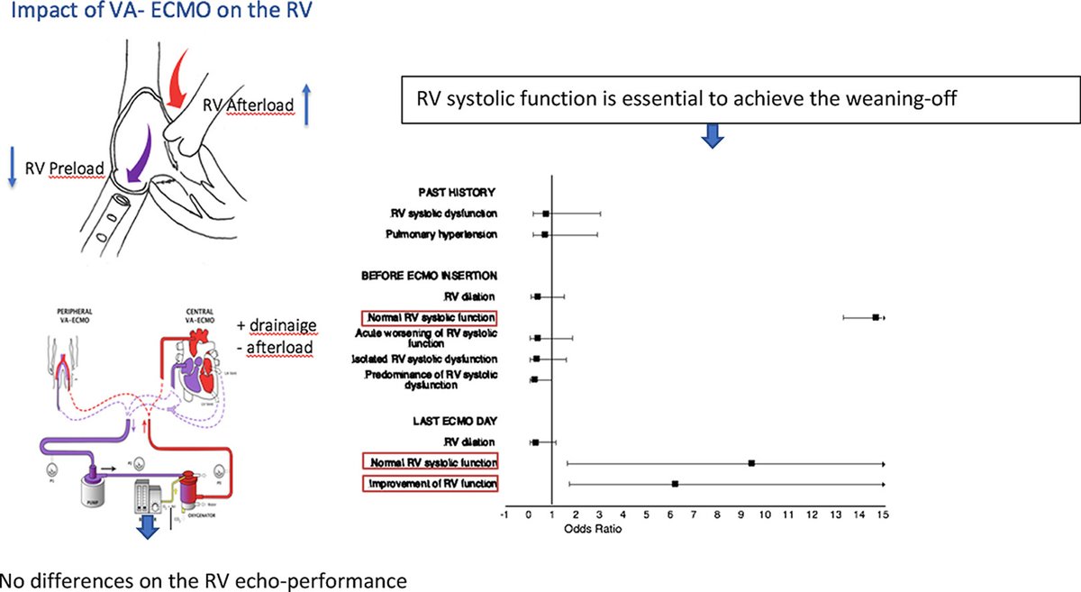 Hellenic Journal of Cardiology (@hjcardiology) on Twitter photo Original #echo data on how #VenoArterial ECMO affects #RightVentricle performance <a href="/HjCardiology/">Hellenic Journal of Cardiology</a> this week
bit.ly/HJC_VAECMO_RV
<a href="/HCSgr/">HCS</a> <a href="/hjc_ed/">HJC Editor-in-Chief</a> @Cardiotwitter <a href="/ECMOdaily/">Justyna Swol MD • ECMOdaily</a> <a href="/HeartFailureFrm/">Heart Failure Forum</a> <a href="/asenjo77/">roberto martin</a> @susannaprice <a href="/JuanFDelgado1/">Juan F Delgado</a> <a href="/hcs_young/">HCSYoung</a> <a href="/Filippatos/">Gerasimos Filippatos</a> Original #echo data on how #VenoArterial ECMO affects #RightVentricle performance <a href="/HjCardiology/">Hellenic Journal of Cardiology</a> this week
bit.ly/HJC_VAECMO_RV
<a href="/HCSgr/">HCS</a> <a href="/hjc_ed/">HJC Editor-in-Chief</a> @Cardiotwitter <a href="/ECMOdaily/">Justyna Swol MD • ECMOdaily</a> <a href="/HeartFailureFrm/">Heart Failure Forum</a> <a href="/asenjo77/">roberto martin</a> @susannaprice <a href="/JuanFDelgado1/">Juan F Delgado</a> <a href="/hcs_young/">HCSYoung</a> <a href="/Filippatos/">Gerasimos Filippatos</a>