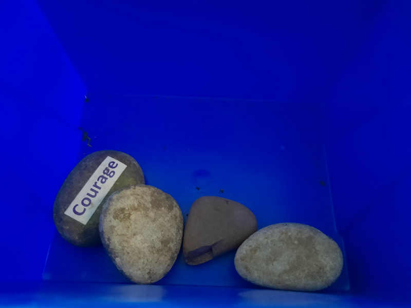 NorthTyneSLS's tweet image. Random Item found in returned Project Box #3
We wondered why this box was so heavy...Interesting...

#randomobject #books #welovebooks #school #sls #reading #ChildrensBooks #rocks #EndOfTerm #schoolsoutforsummer #schoolsout
