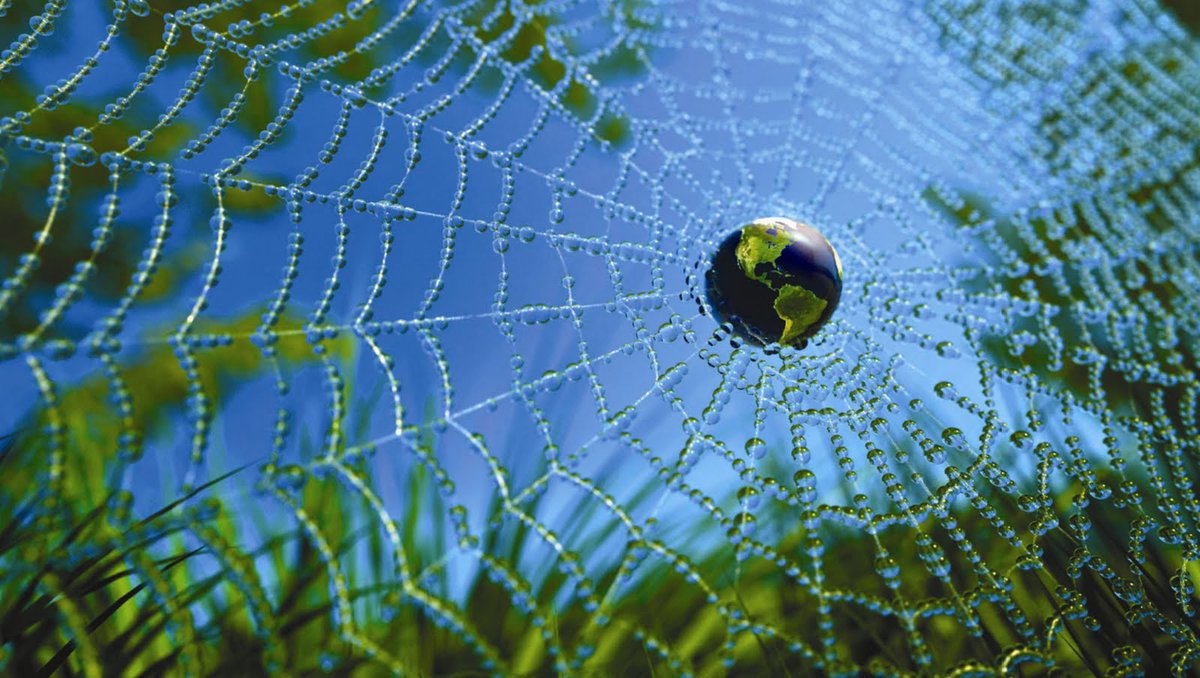 DMChristopher1's tweet photo. As we create Planetary Mind:
where we learn
to look past our differences
and harness our common humanity;
where we see
that the Web of Life is sacred,
worthy of our reverence and respect
#Excerpt #Unity #Humanity #FridayFeeling https://t.co/9iVPTUOJsH