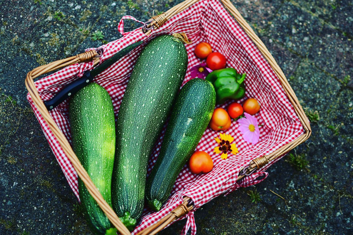 EustaceEusts's tweet photo. Mijn oogst vandaag #moestuin #moestuinieren #homegrownveggies #courgettes #tikvice #tomatoes🍅 #tomaten #paprika #pepper #capsicum #პომოდორი https://t.co/QcAtXeWuHt