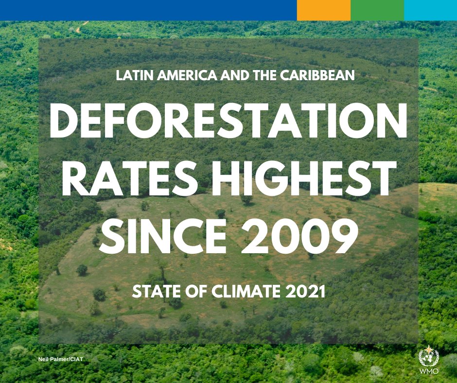 WMO's tweet photo. This is a major blow to our environment and climate change mitigation. #StateOfClimate

🔗https://t.co/5oOLIcLMoa https://t.co/hpNPLpYlk5
