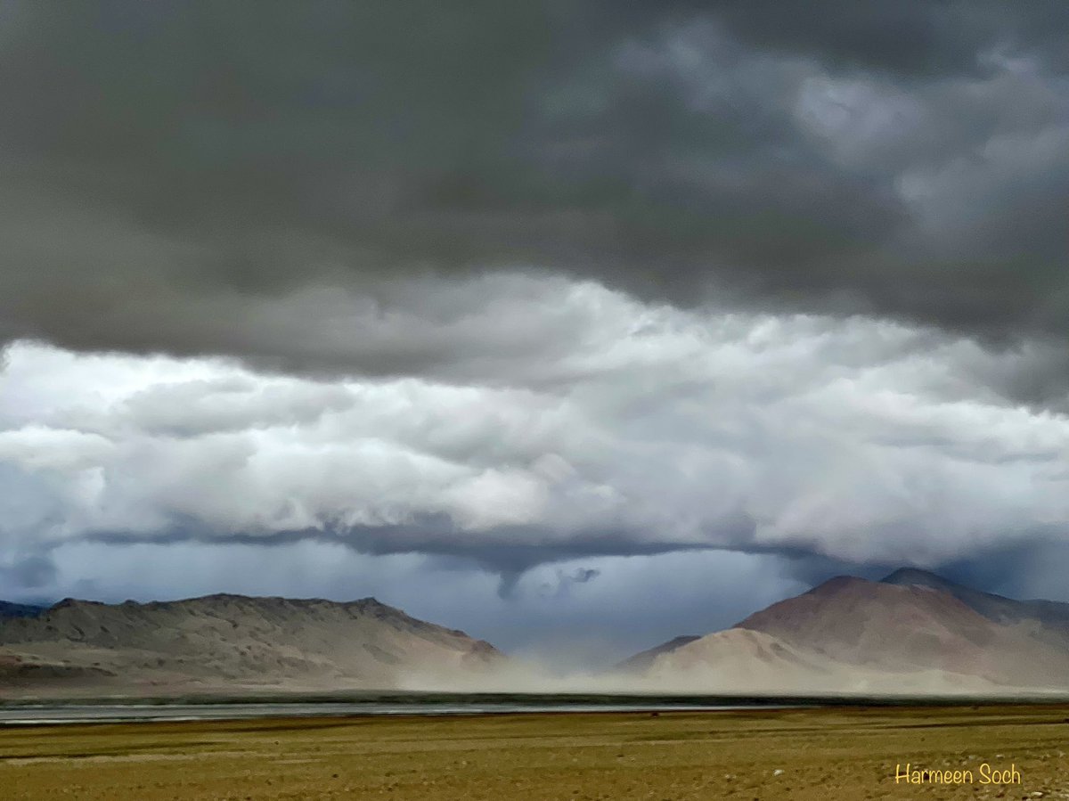 HarmeenSoch's tweet photo. This is how a sandstorm n rain storm approach at a high altitude cold desert. No one around, no shelter to run to, all we could do was pack our tent and run to vehicle and wait it out, hoping we are able to ‘weather the storm’!
Unforgettable memories of Tso Kar!
#TsoKar
#Ladakh https://t.co/PwMbiG4AMm
