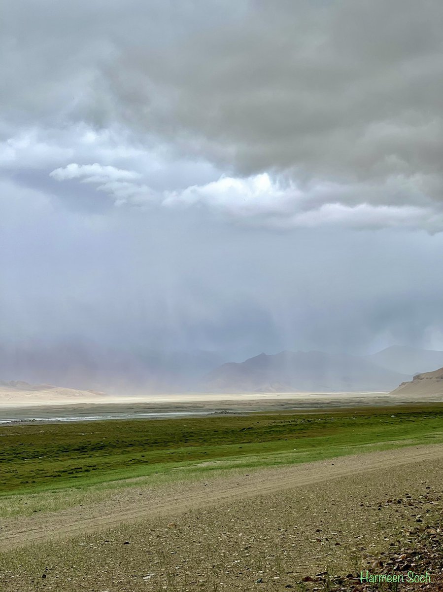 HarmeenSoch's tweet photo. This is how a sandstorm n rain storm approach at a high altitude cold desert. No one around, no shelter to run to, all we could do was pack our tent and run to vehicle and wait it out, hoping we are able to ‘weather the storm’!
Unforgettable memories of Tso Kar!
#TsoKar
#Ladakh https://t.co/PwMbiG4AMm