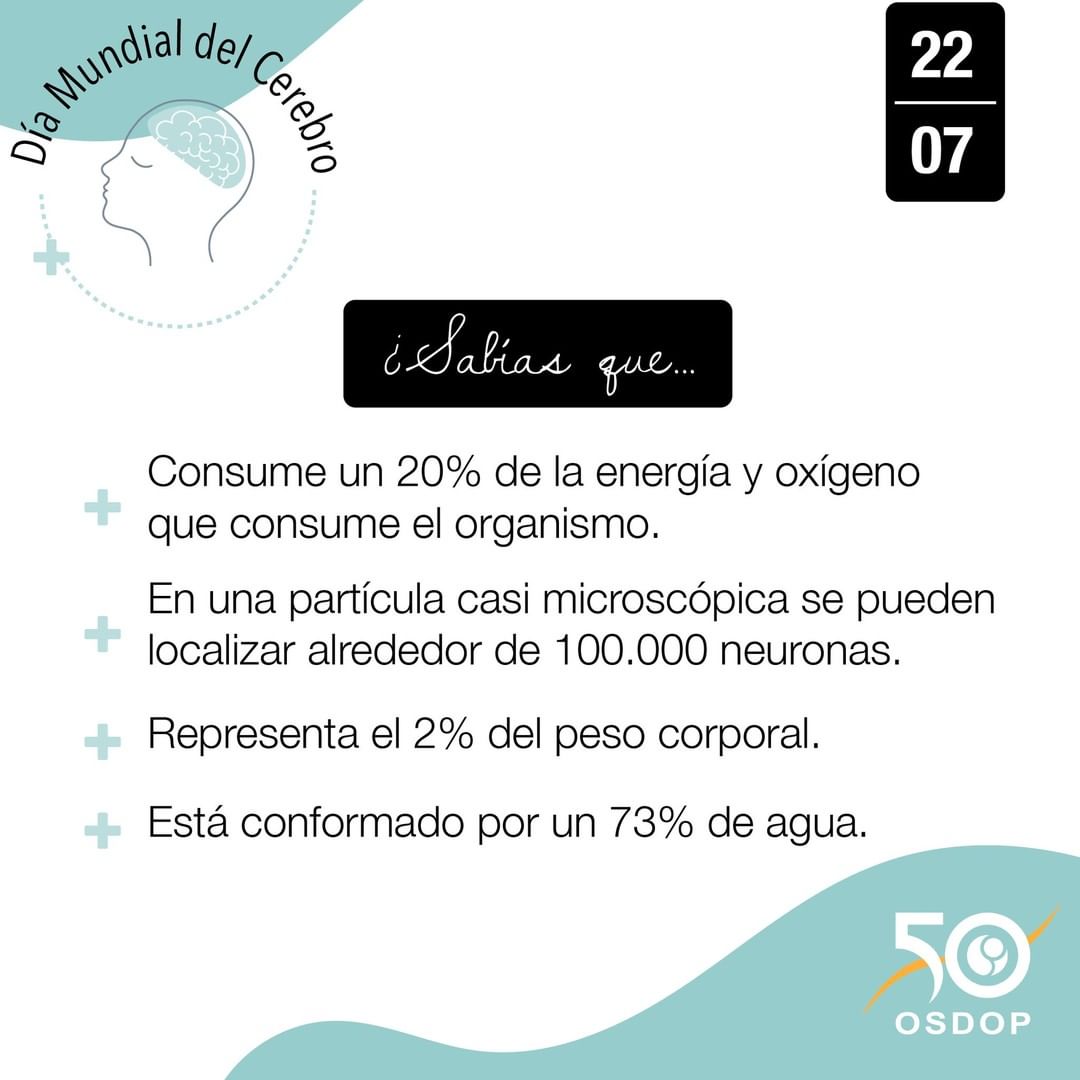 SADOPLAPLATA's tweet photo. Hoy es el Día Mundial del Cerebro, desliza 👉 para conocer algunos datos curiosos que tal vez no sabías sobre este órgano de nuestro cuerpo. #diamundialdelcerebro #osdop https://t.co/Ozxkhdsvak