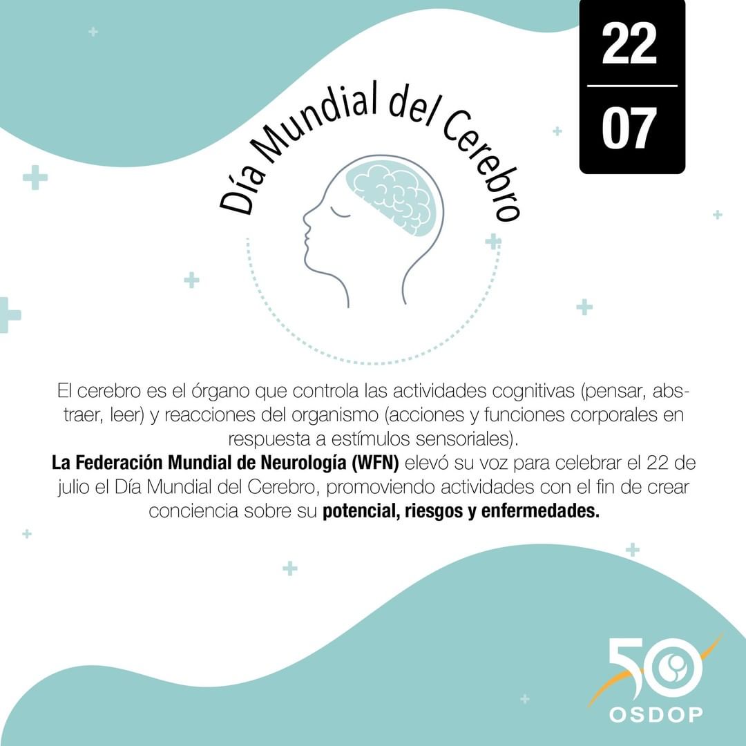 SADOPLAPLATA's tweet photo. Hoy es el Día Mundial del Cerebro, desliza 👉 para conocer algunos datos curiosos que tal vez no sabías sobre este órgano de nuestro cuerpo. #diamundialdelcerebro #osdop https://t.co/Ozxkhdsvak