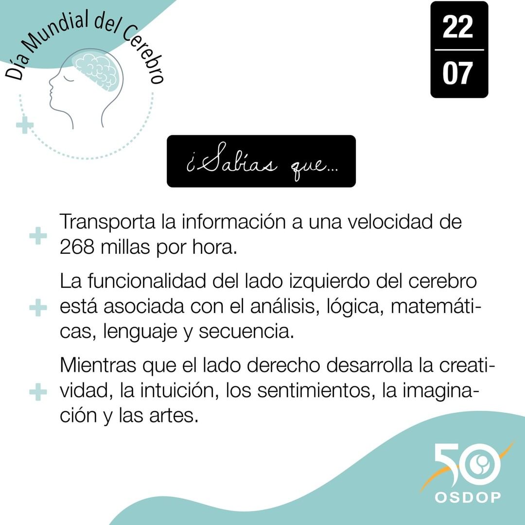 SADOPLAPLATA's tweet photo. Hoy es el Día Mundial del Cerebro, desliza 👉 para conocer algunos datos curiosos que tal vez no sabías sobre este órgano de nuestro cuerpo. #diamundialdelcerebro #osdop https://t.co/Ozxkhdsvak