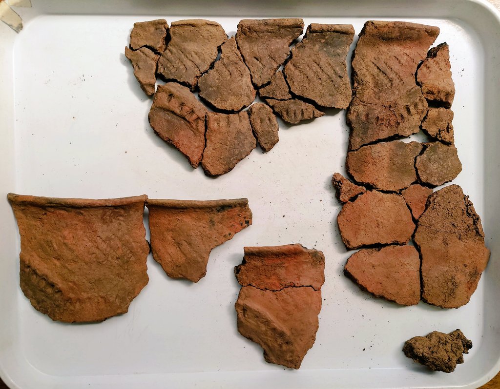 Leonieconserva's tweet photo. Rim sherds from the #bronzeage #pottery from the recent @CAERHeritage and @cardiffuni dig at Trelai park #cardiff here it's easier to see the decoration and how it might flow around the pot.
@CUConservation @CUHistArchRel https://t.co/ilNxWlgv2q