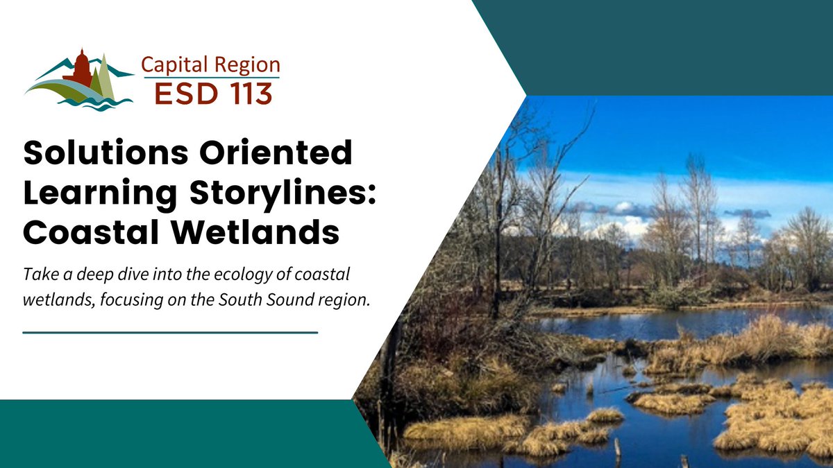 ESD113's tweet photo. Take a deep dive into the ecology of coastal wetlands, focusing on the South Sound region! Learn more and register today! https://t.co/Py41yujoij #ClimeTime https://t.co/LqhQjfT7ws