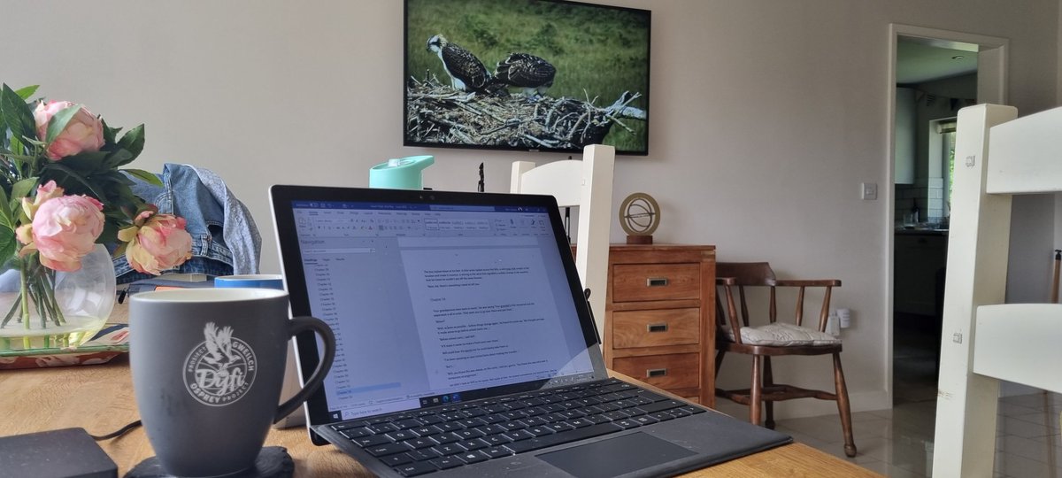 catherine bruton tweet media