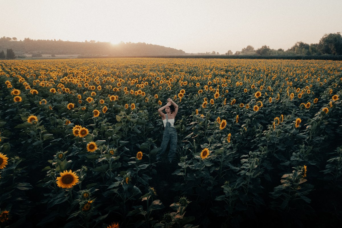 uriseguram's tweet photo. We had a blast exploring for the first time the sunflower fields near la Costa Brava a couple weekends ago. After a few weeks off, it feels so good to have some free time to create again🌻 https://t.co/XTA58yGCTi