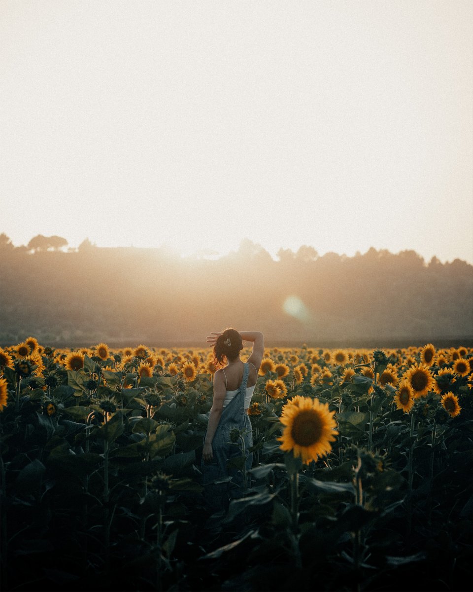 uriseguram's tweet photo. We had a blast exploring for the first time the sunflower fields near la Costa Brava a couple weekends ago. After a few weeks off, it feels so good to have some free time to create again🌻 https://t.co/XTA58yGCTi