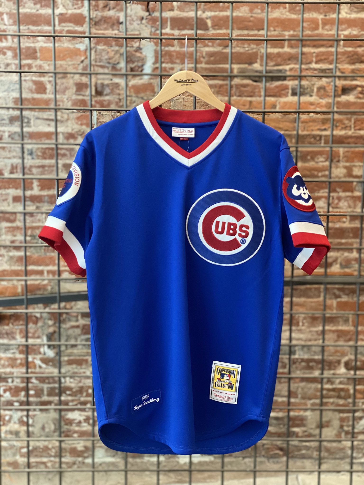 mitchell and ness ryne sandberg jersey