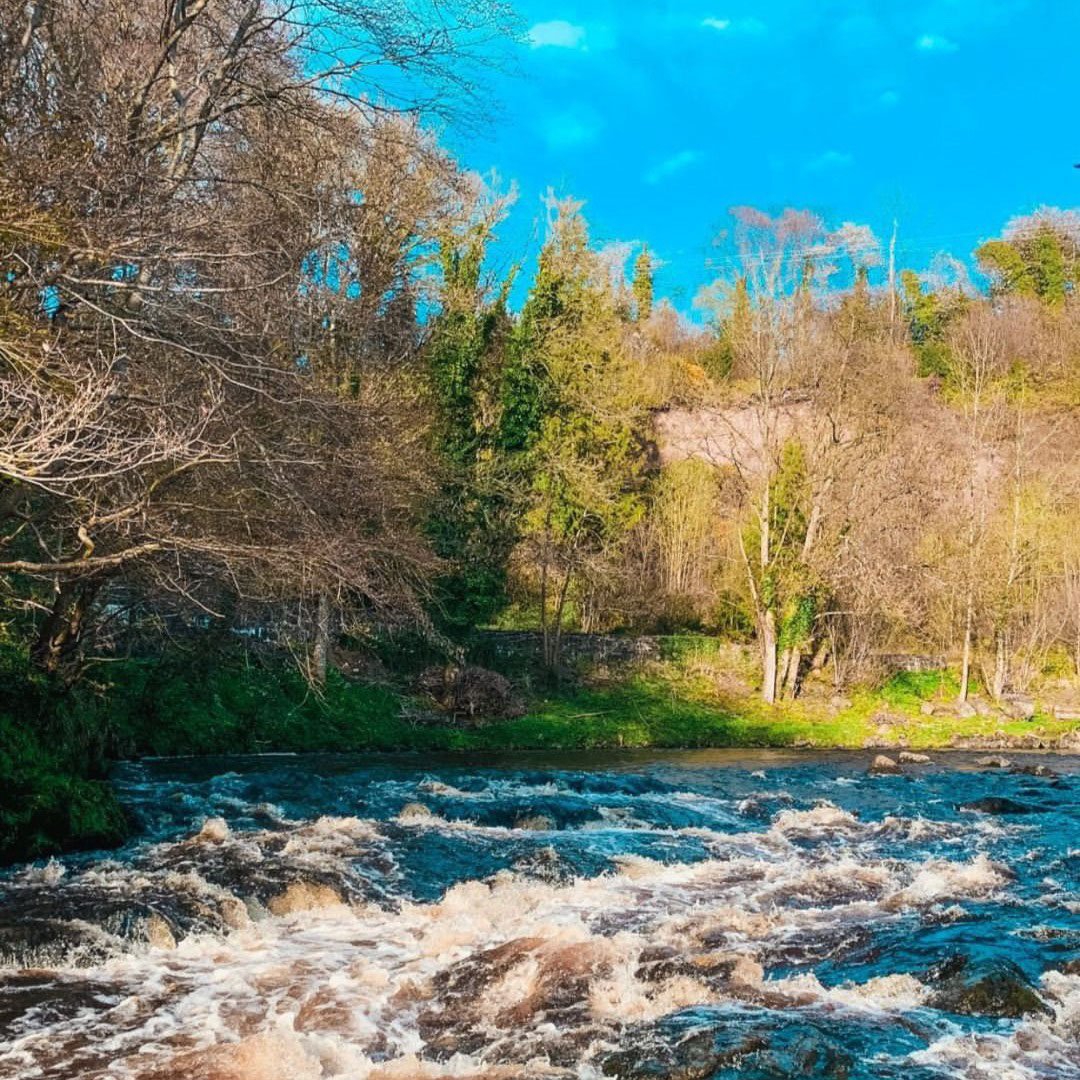 RoeValleyResort's tweet photo. We definitely recommend fitting in a stroll around the nearby Roe Valley Country Park when visiting the Resort 🌳
📸 In love with these snaps captured by Emma Averill
#roevalleycountrypark #roepark #discoverni #visitcauseway #EmbraceAGiantSpirit https://t.co/c1tYWeuKX0