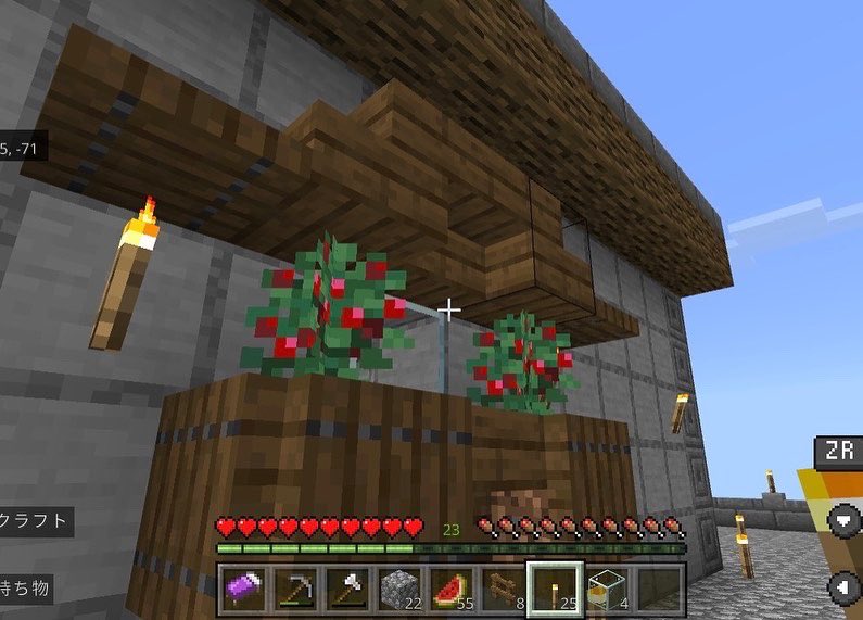 てふてふまいむ さえ 動画を一時停止しては戻してを繰り返し 窓枠オシャンティーにしてみたよ マイクラ マイクラ初心者 マインクラフト マイクラ建築初心者 T Co Aj7ecwl6fk Twitter