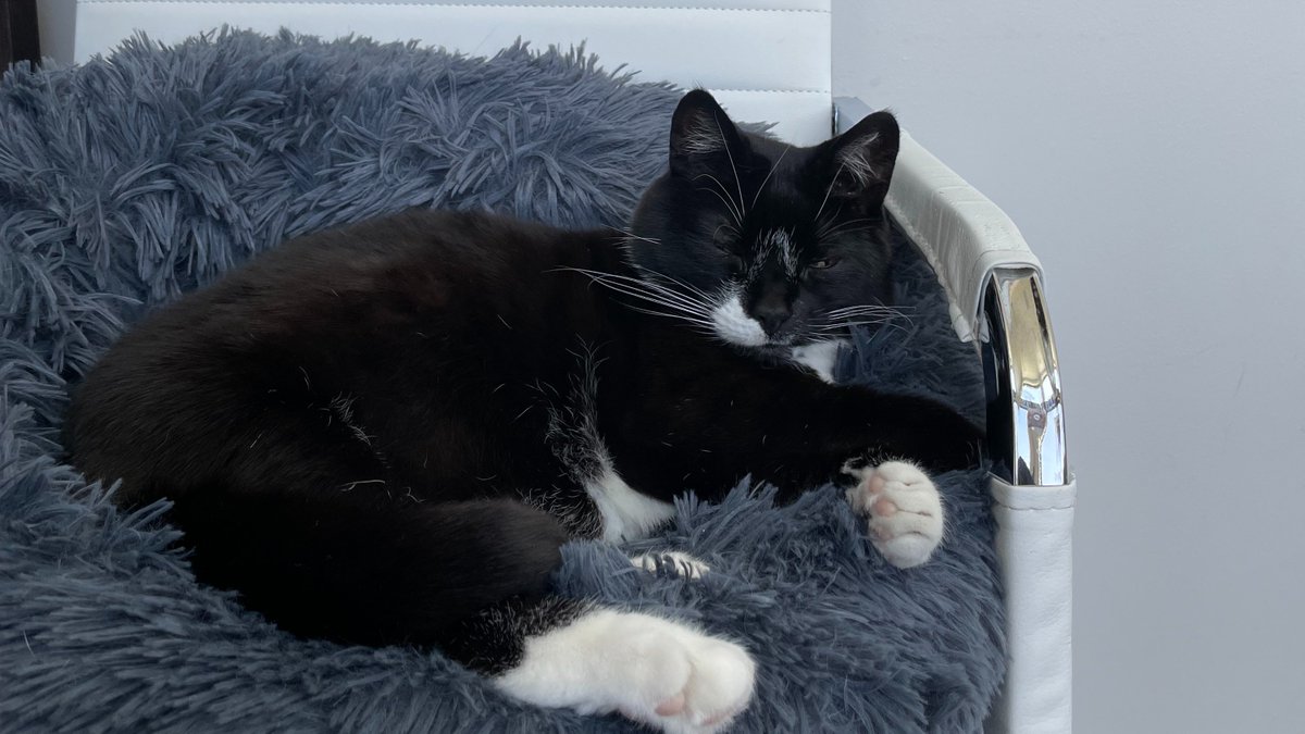 Little Miss naps all day