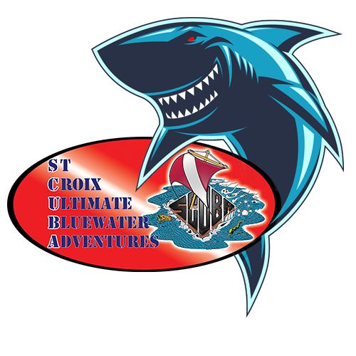 stcroixscuba's tweet photo. Did You Win a Dive Package at SharkCon 2022? 🐬    Hint:  You are Pre-Qualified! - https://t.co/bd4AUWx3bT https://t.co/8zYJMIQSQY