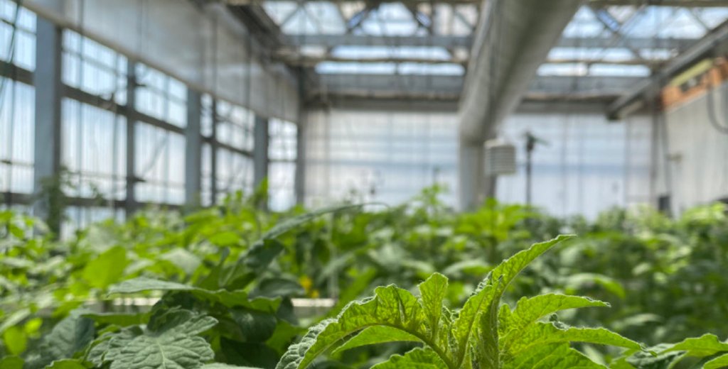 AgrotechUPC tweet picture