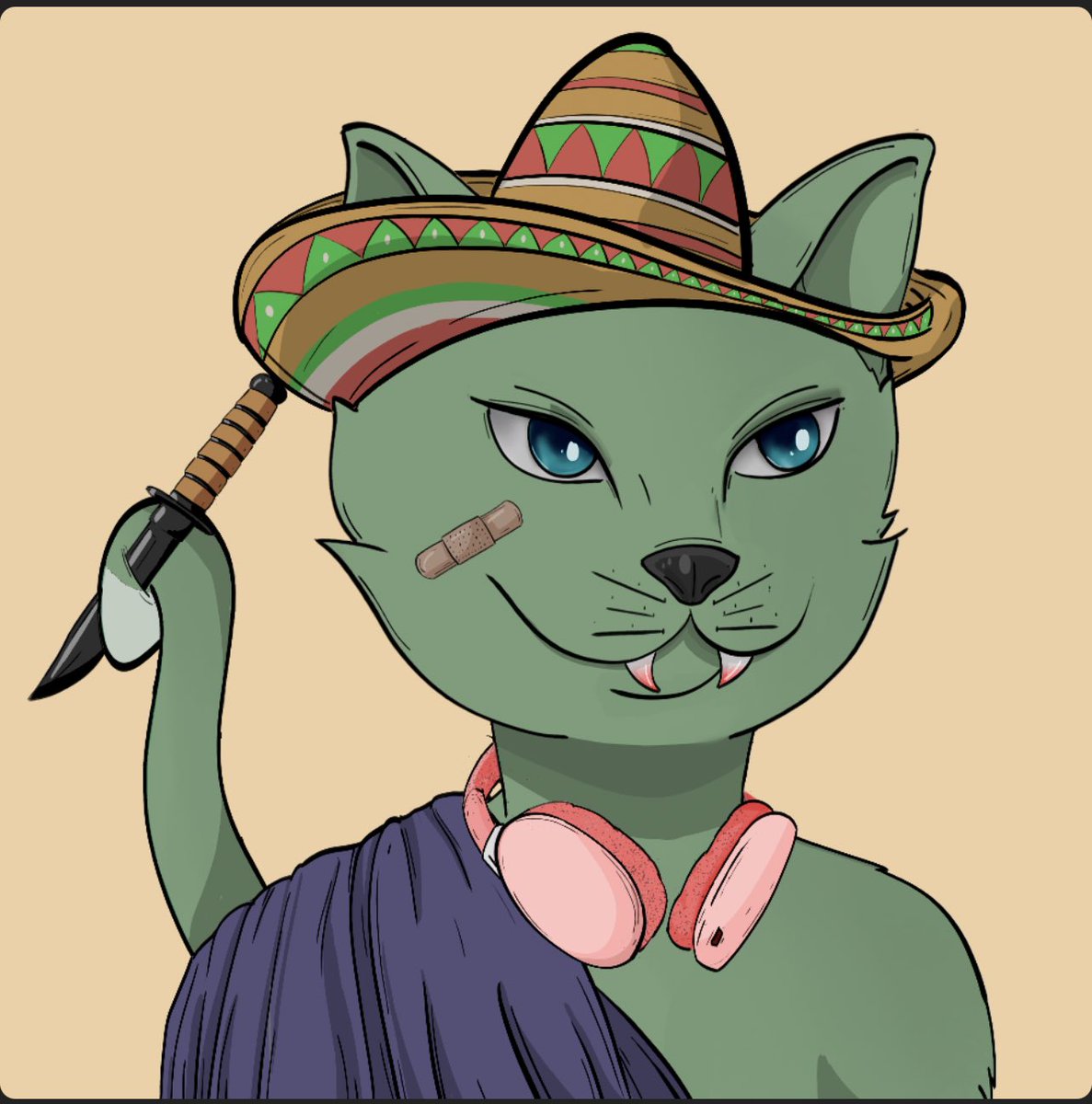 josshuua's tweet photo. Muestren su @KittyCatsSOL @tenko_cripto @SoyGalin @PunkRutenio @eduardo35631485 LFG! 🔥 💎 https://t.co/eEyzRWJYPU