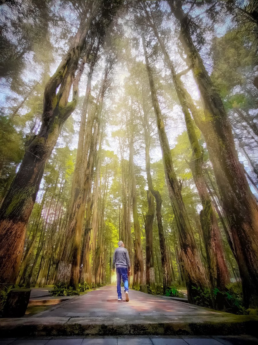 Gustavo J. Ramírez (pollodepelos) tweet media