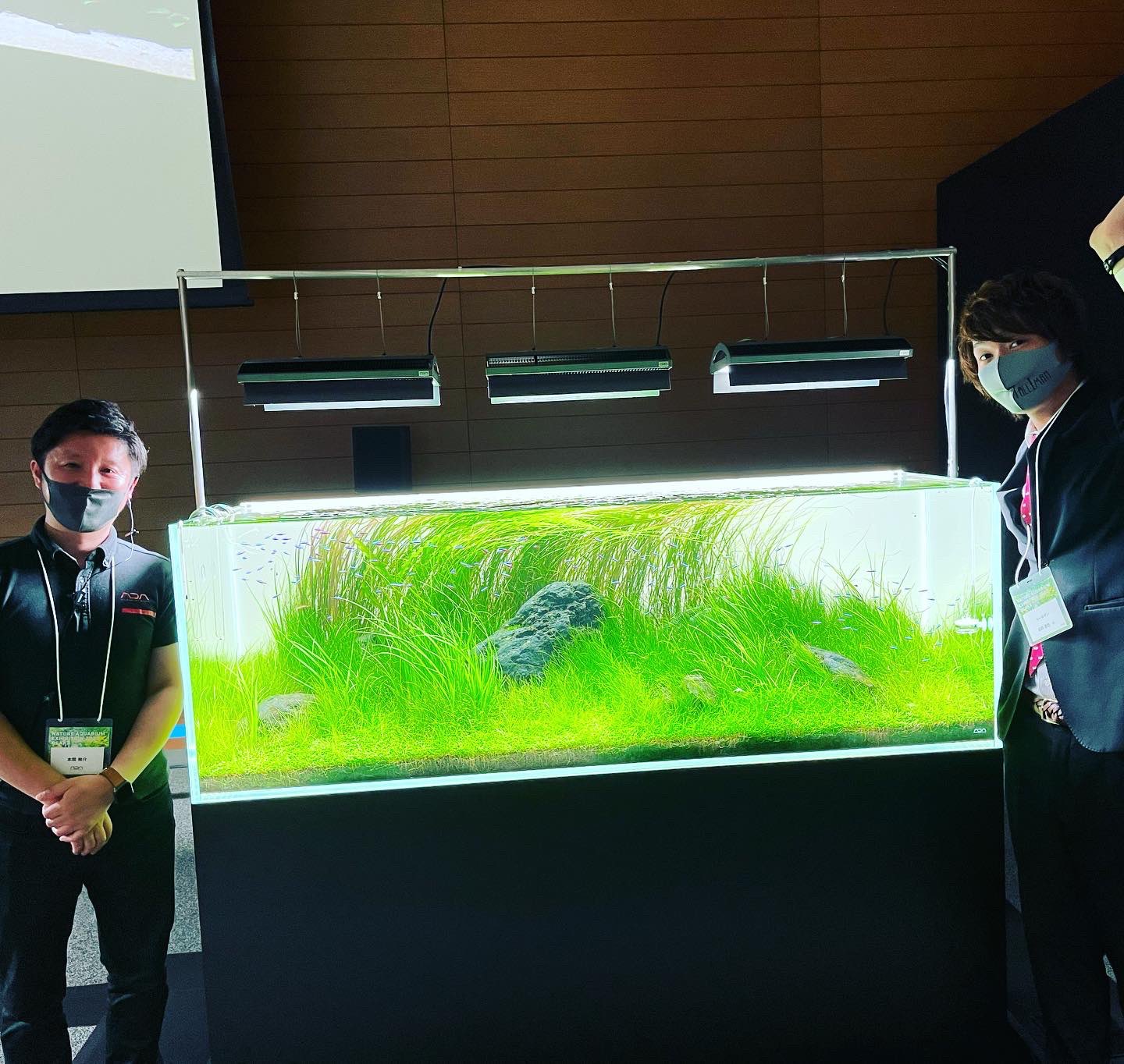 Follow Aquarium Tallman アクアリウム トールマン S Aquariumtallman Latest Tweets Twitter
