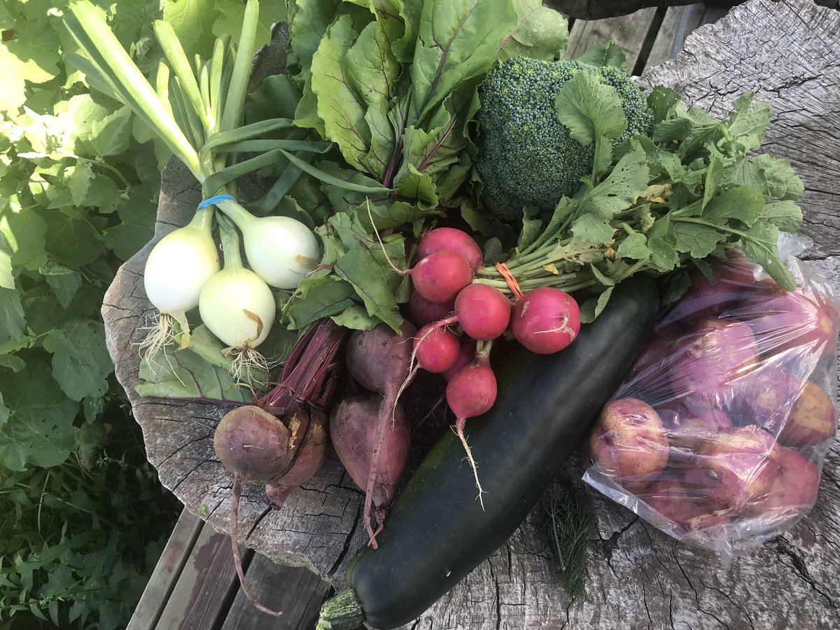 Fresh from the farmers market 💚