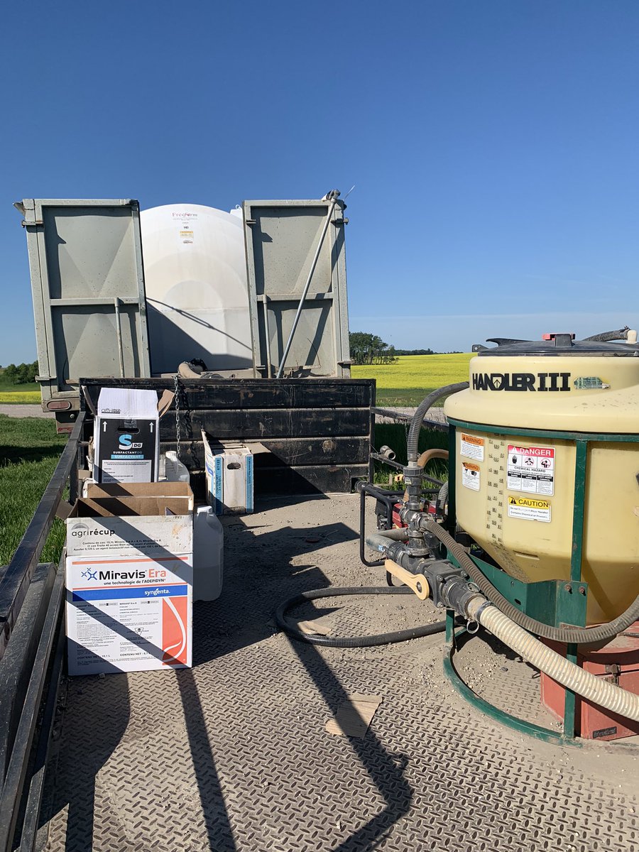 MarseuGordon's tweet image. Wedding site is coming together, but needed a break to get this Starbuck sprayed! @js_seeds @syngentacanada #fieldperformance