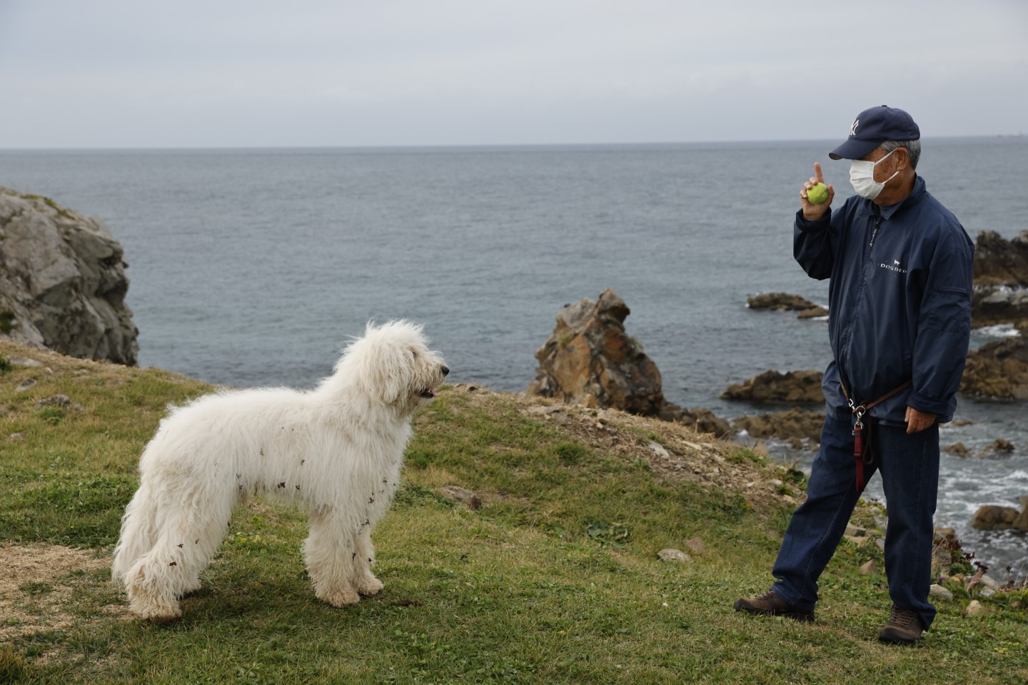 たあ On Tamago Twitter