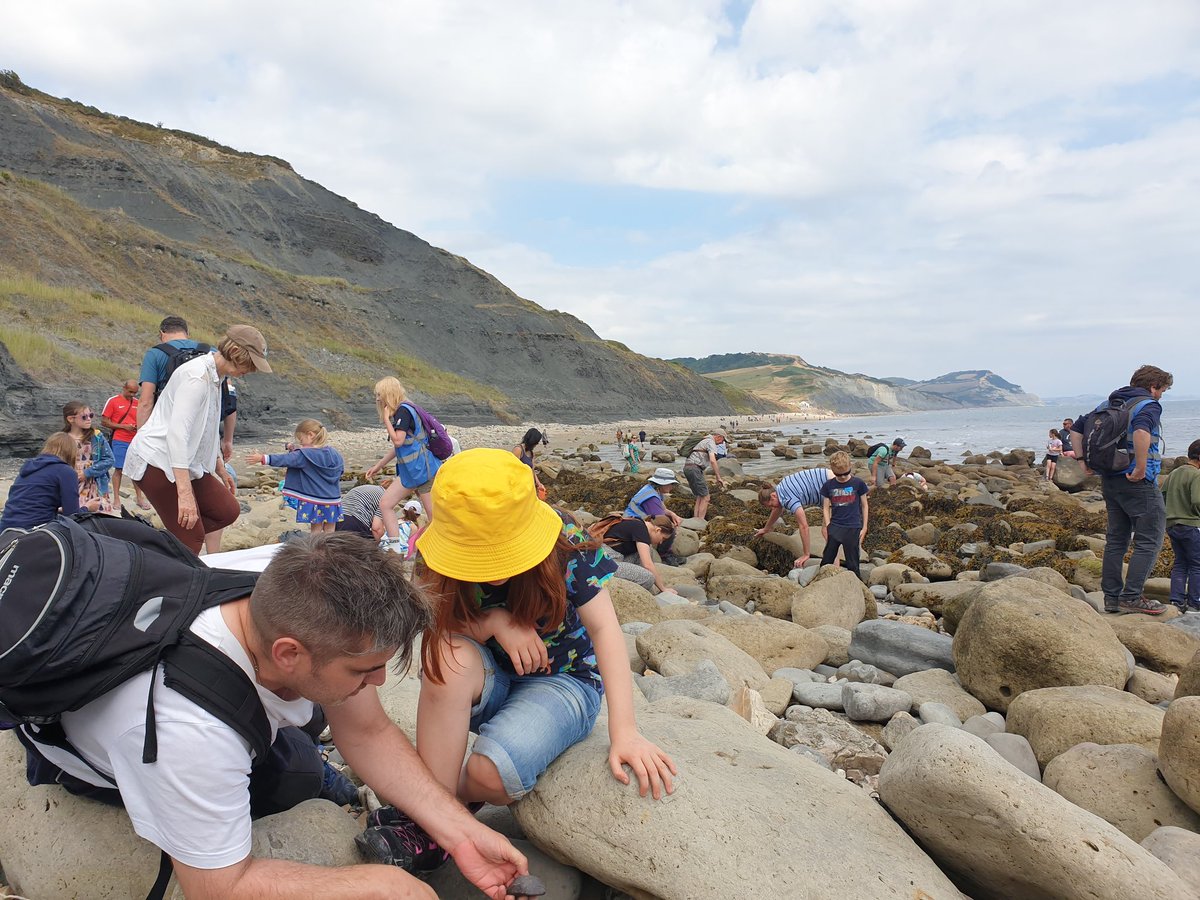ItsKateMcB's tweet image. Great fun hunting for fossils yesterday, thanks to the brilliant @CharmouthHCC fossil walk experts and volunteers! 👍💛 #charmouthbeach #fossilwalk