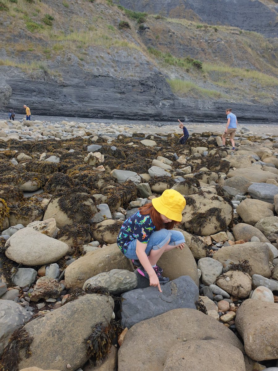 ItsKateMcB's tweet image. Great fun hunting for fossils yesterday, thanks to the brilliant @CharmouthHCC fossil walk experts and volunteers! 👍💛 #charmouthbeach #fossilwalk