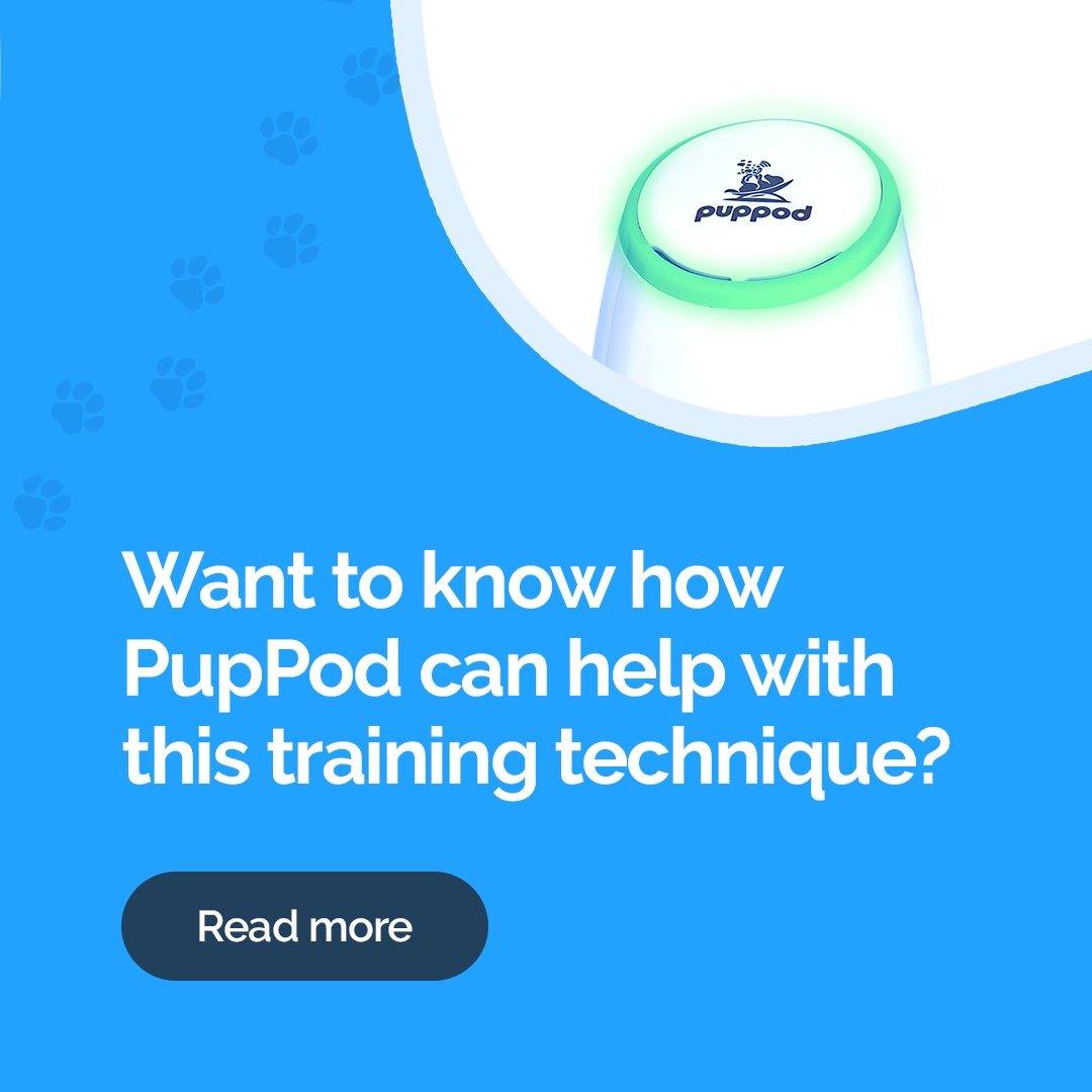 PupPod tweet media