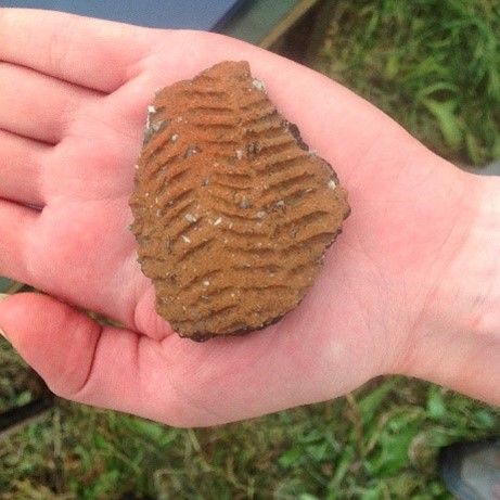 UniRdg_OOCs's tweet photo. Found at the Vale of Pewsey excavations which features in our @UniRdg_Arch @FutureLearn course #FLDigtolab. Can you guess the mystery object? #FindsFriday https://t.co/bAXTQBxP9c