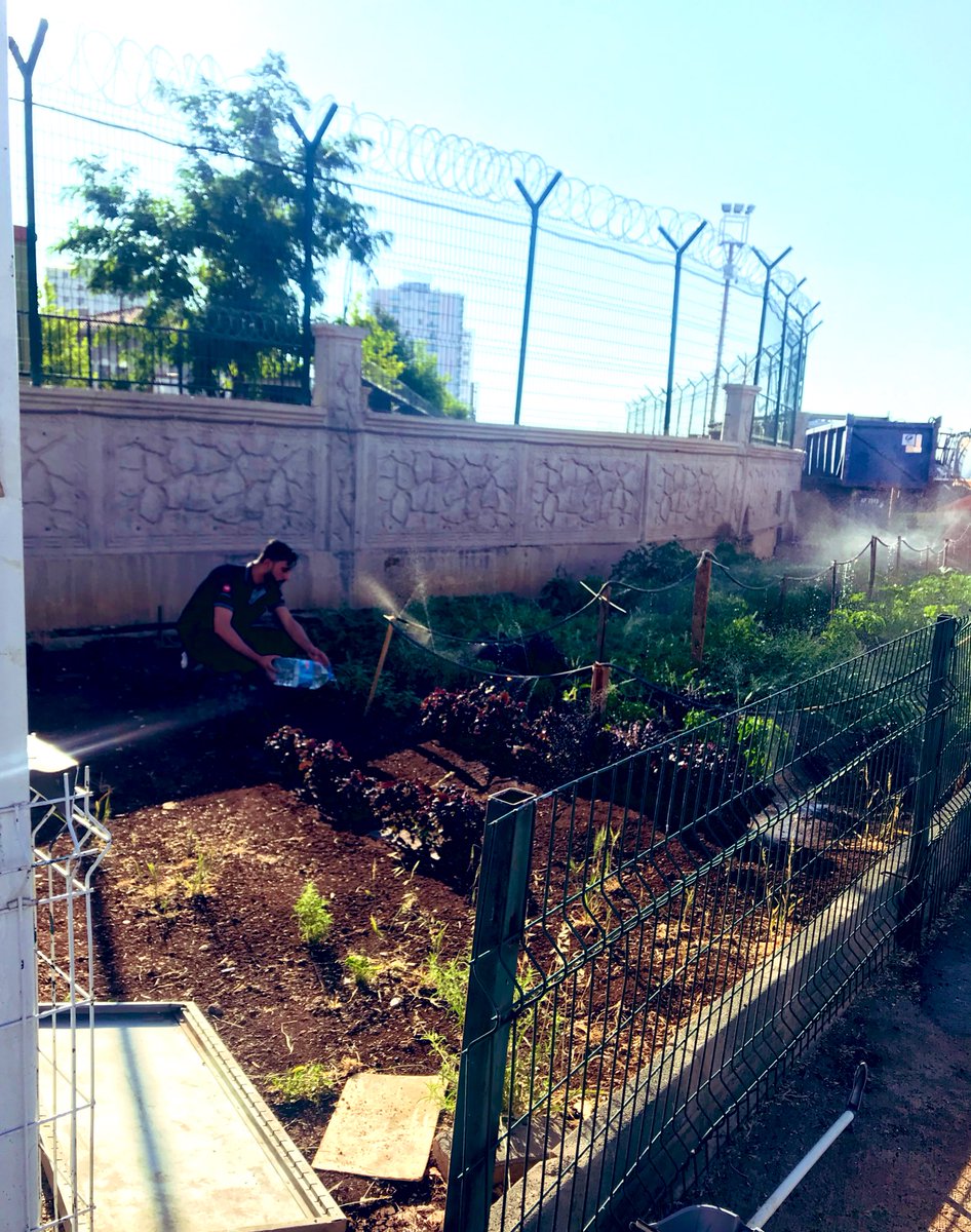 SebihBoz's tweet photo. Küçük şeylerden zevk alabilmek, lüks yerine zerafet aramak, saygı istemek yerine değerli olmak, zengin olmak yerine kimseye muhtaç olmamak, sıkı çalışmak, sessizce düşünmek,  dürüst konuşmak; yıldızları, kuşları, bebekleri ve bilgileri açık kalple dinlemek, işte benim senfonim… https://t.co/cNH8ZEDKNi