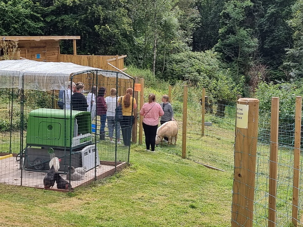 Calderglenhouse's tweet photo. Open Day in progress at Calderglen House today. Demos of Animal care, Gym, Yoga, OT, CBT, Woodwork and Fishing. Thanks to current and ex residents and staff for making day run smoothly! Thanks to ADPs and Prison Service for attending. https://t.co/jef4v0zu9Q