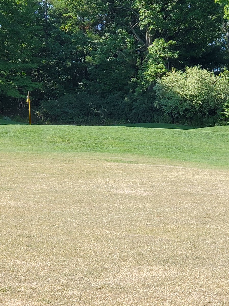Trevor_OSC's tweet photo. 10-0-0 PBS150 provides MU + longterm hydration. Perfect for Tees and traffic recovery.
#nutrientefficiency
#recovery
@OSCTurf @Solutions4Turf https://t.co/wHugT9shkq