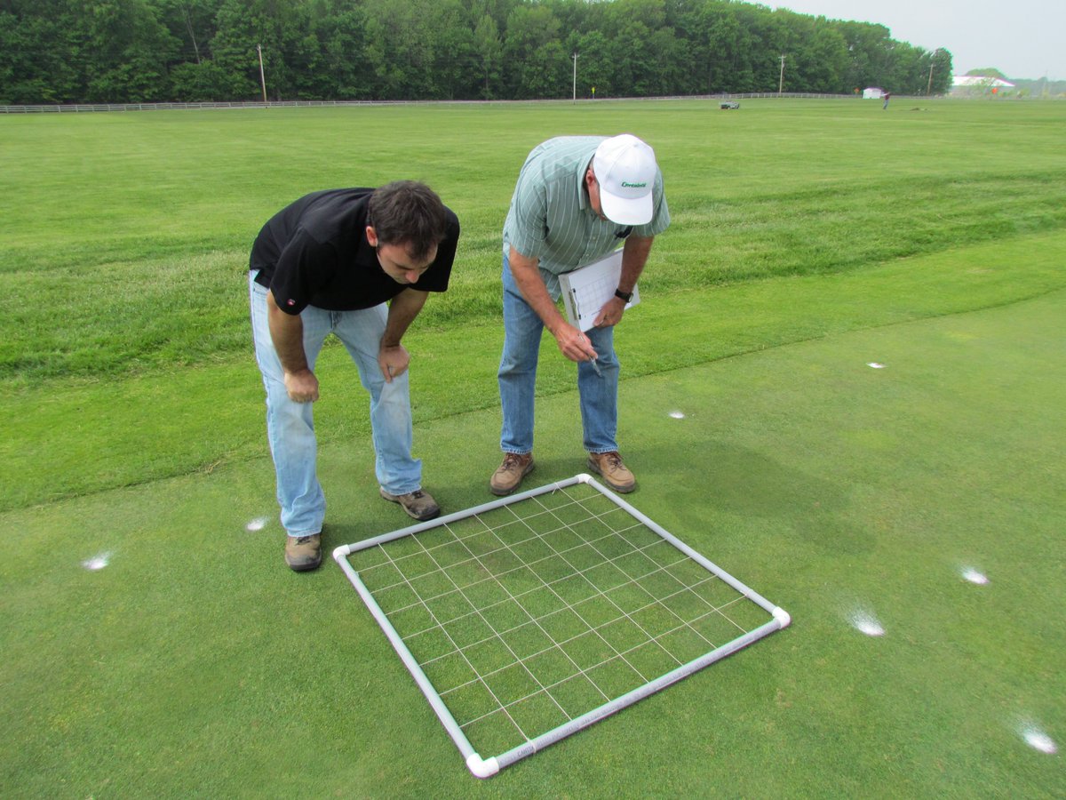 PurdueTurfDoc's tweet photo. My lab is looking to add another team member with strong field and greenhouse research experience in applied turfgrass or weed science. The position could be M.S. student or postdoctoral associate. DM me or contact me via email if interested. https://t.co/yKhyY82gWt
