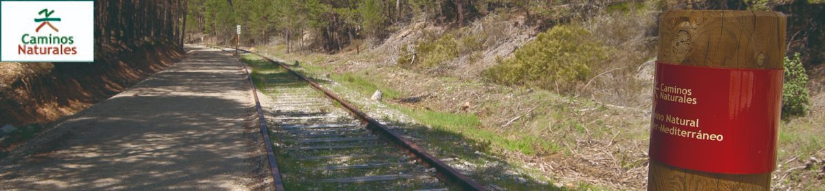 Emgrisa's tweet photo. En #EMGRISA prestamos asistencia técnica📐 al programa de #CaminosNaturales del @mapagob
🌱¿Conoces la red de #CaminosNaturales?
Más de 10.300 km a lo largo de toda la geografía española
Sigue este enlace para seleccionar tu próxima ruta⬇️
https://t.co/RE9At62bin https://t.co/6HL2qSdS97