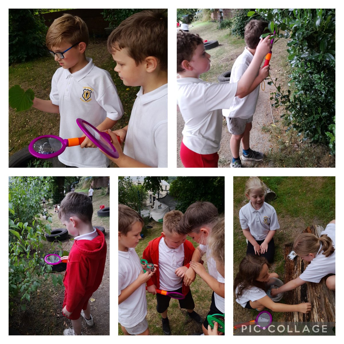 GPSMrsLEvans tweet media