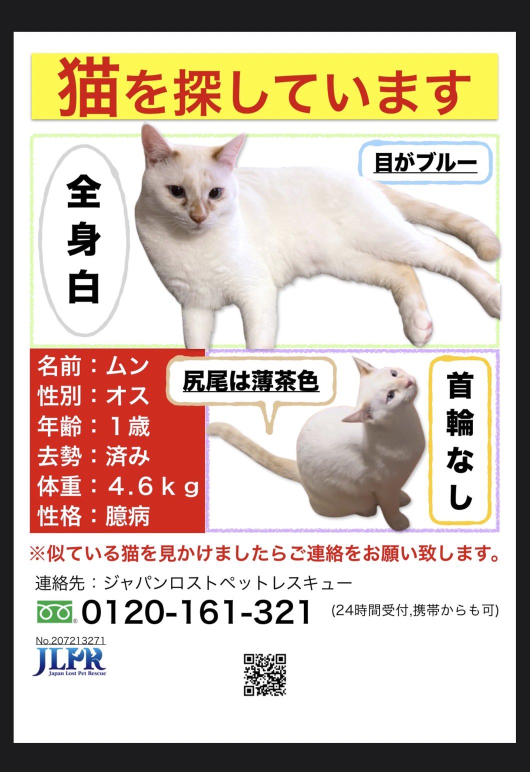 経典 くるみの部屋様 専用ページ SCO-130/LN その他