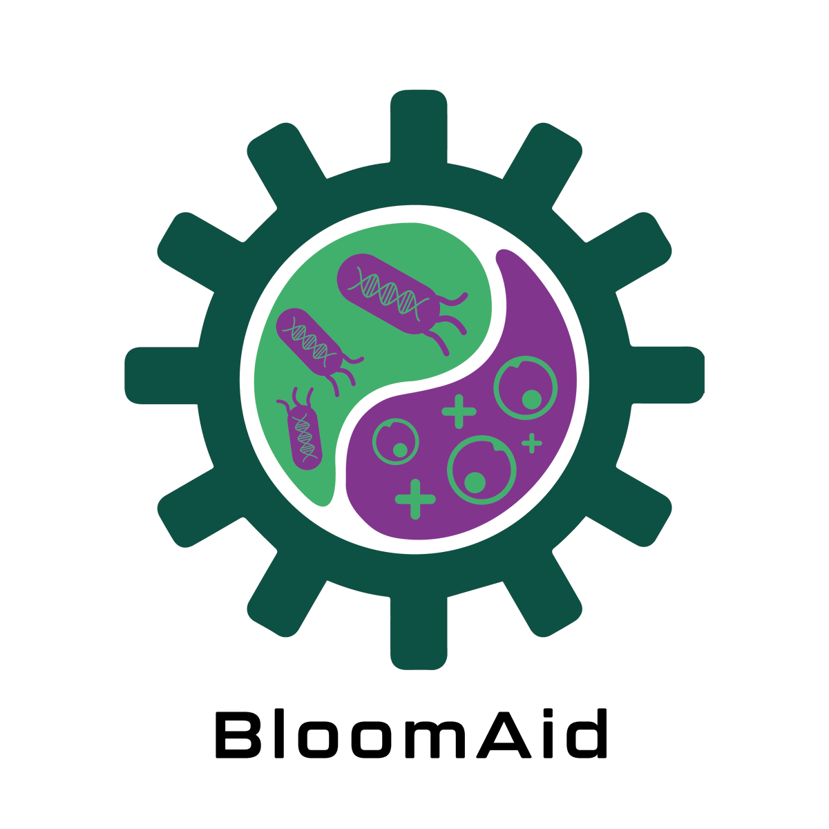 BloomAid, the new pathway towards renewable energy...Coming soon!
#mcrigem2022 #igem #igemuk #syntheticbiology
