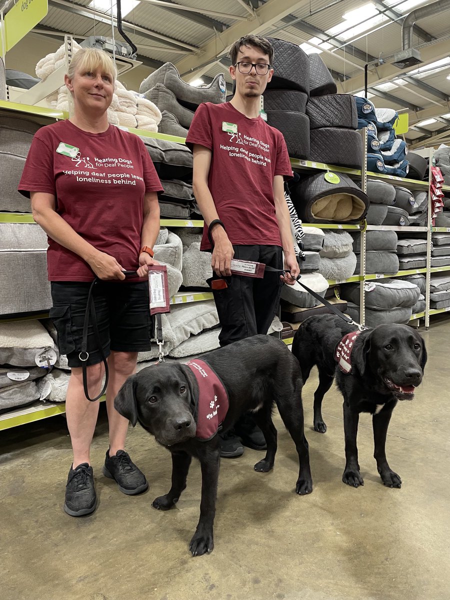 Two ⁦<a href="/HearingDogs/">Hearing Dogs for Deaf People</a>⁩ in training visited Pets at Home in Farnham Royal this morning to thank the staff for their amazing support for the Charity this month. ⁦<a href="/VolTeamHDogs/">Volunteering H-Dogs</a>⁩ ⁦<a href="/KGHearingDogs/">Kevin Game</a>⁩ ⁦<a href="/PetsatHome/">Pets at Home</a>⁩