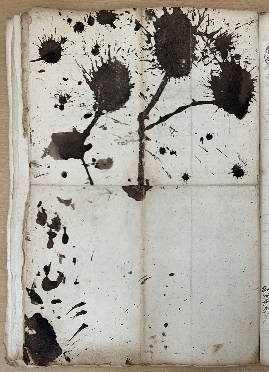 RadwayRobyn's tweet photo. Organizing my archival photos from the #HHStA Turcica collection. T33-3-032v caught my eye. The back of a decoded copy of ambassador Ungnad's 1576 August 10 letter on Ottoman actions related to Persia, Poland, Walachia, and Moldavia. https://t.co/bbDpjVd6vd