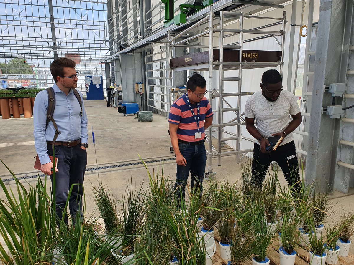 A thesis supervision meeting in the glasshouse <a href="/CranfieldUni/">Cranfield University</a> for a water environment project sponsored by <a href="/HeathrowAirport/">Heathrow Airport</a> on the Advanced Water Management MSc course <a href="/cranfieldwater/">Cranfield Water</a>