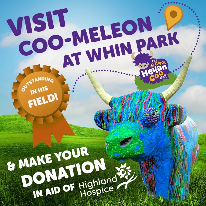 i_zurch's tweet photo. There's still time to show your ❤ for coo-meleon &amp; @HighlandHospice! Support them in the amazing &amp; important work they do, head over to the JustGiving page to donate &amp; vote for coo-meleon as your favourite design. 
👉 https://t.co/FffaOVNWyX
#thegreatheilancootrail #inverness https://t.co/cmurPM8oqc